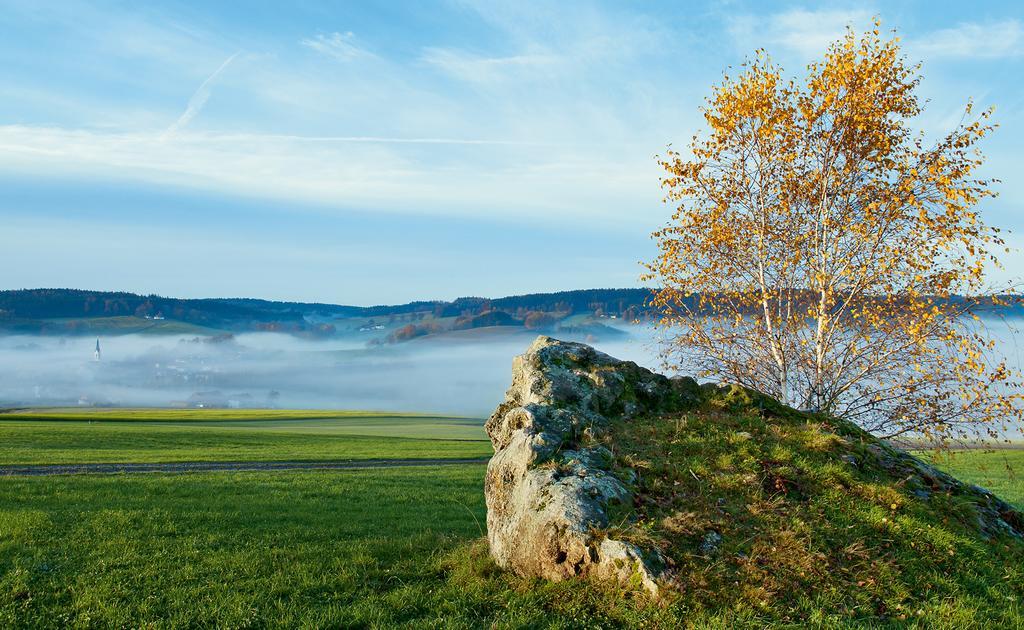 Hotel Gaestehaus Hofer Bad Birnbach Exteriér fotografie